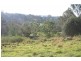 Lot 2, 275 Bobs Range Road, Orangeville NSW 2570