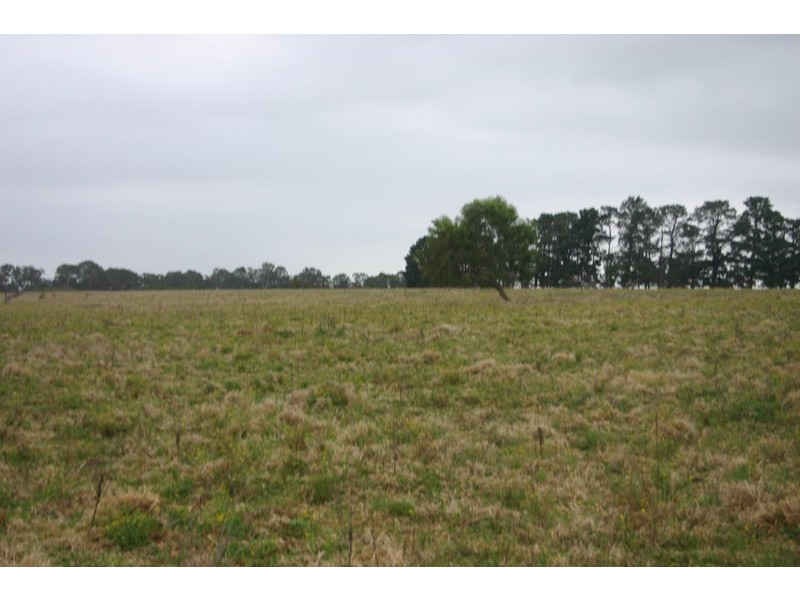 140 Braddocks Road, Werombi NSW 2570