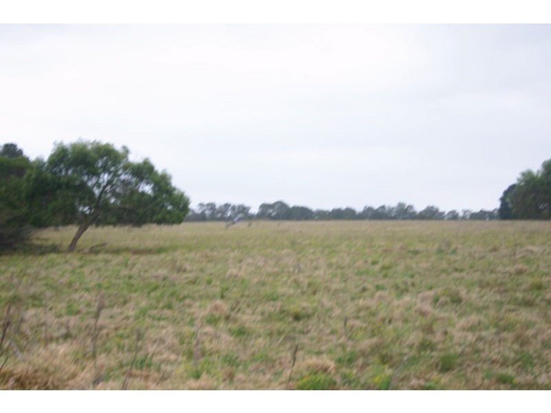 140 Braddocks Road, Werombi NSW 2570