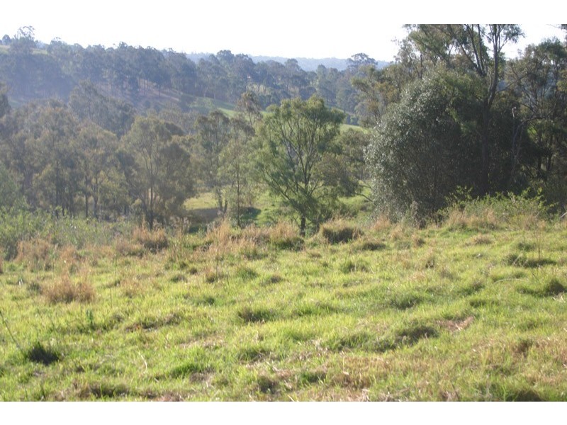 275 Bobs Range Road, Orangeville NSW 2570