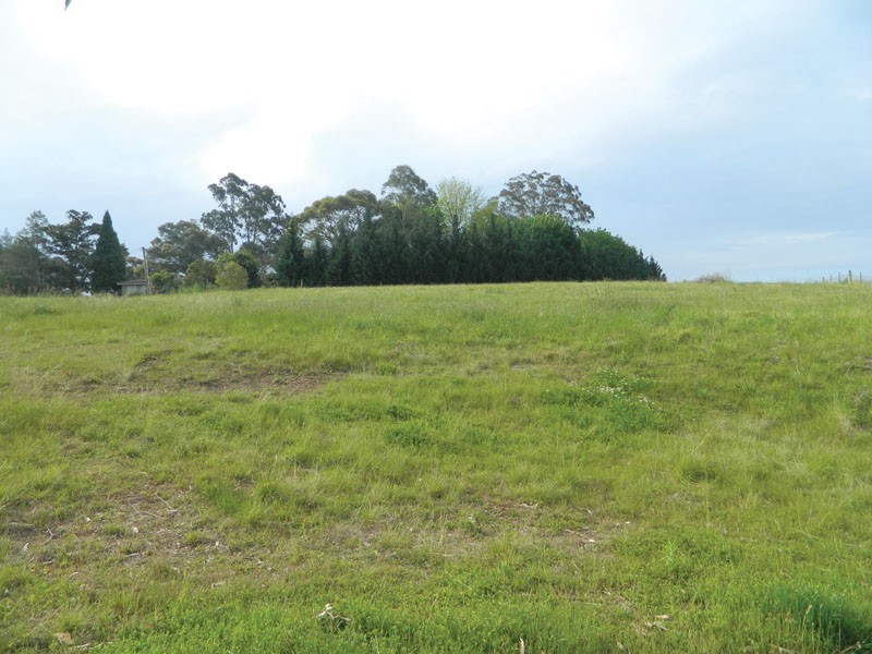 5 Yewens Circuit, Grasmere NSW 2570