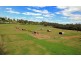 1014 Old Hume Highway, Alpine NSW 2575
