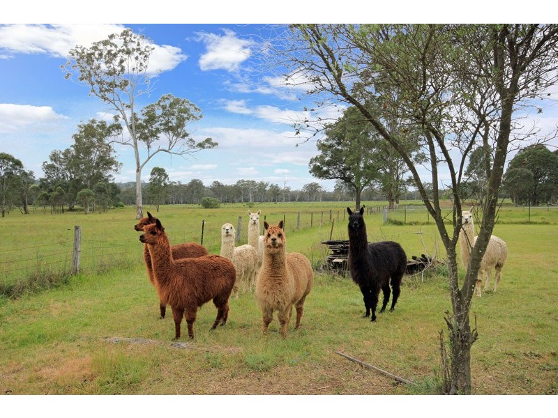 66 Cut Hill Road, Cobbitty NSW 2570