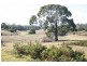 613 Red Hills Road, Marulan NSW 2579