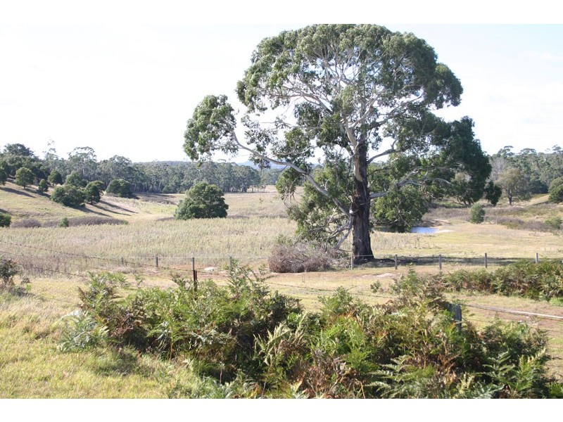 613 Red Hills Road, Marulan NSW 2579