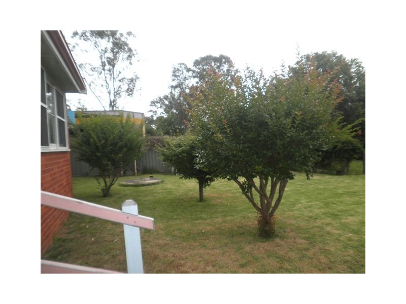 203 Cobbitty Road, Cobbitty NSW 2570