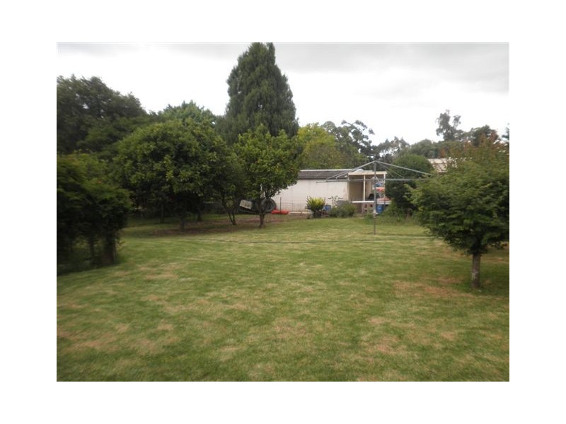 203 Cobbitty Road, Cobbitty NSW 2570