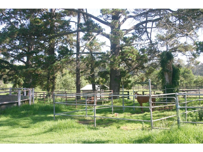 1495 Barkers Lodge Road, Oakdale NSW 2570