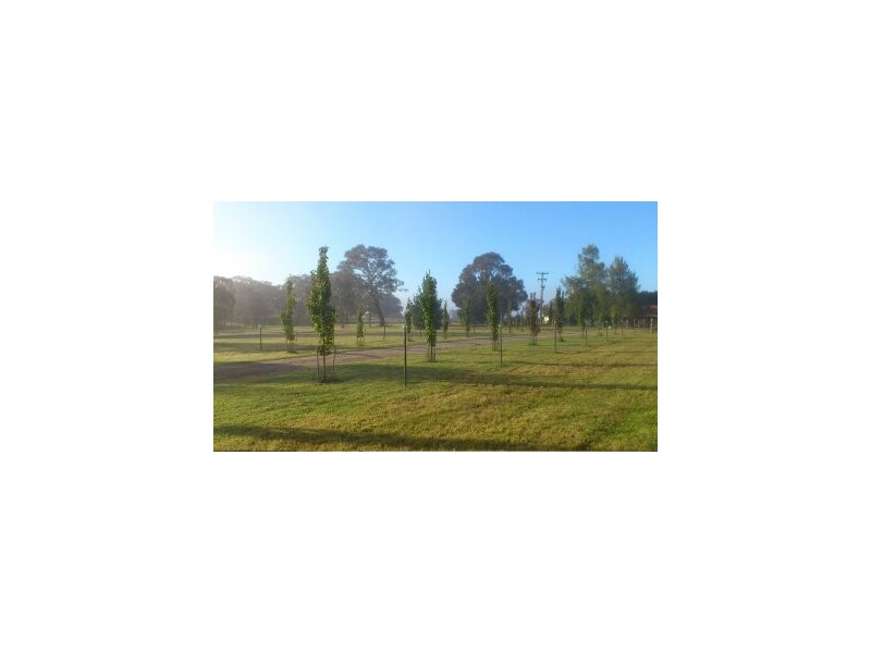 1643 Range Road, Goulburn NSW 2580