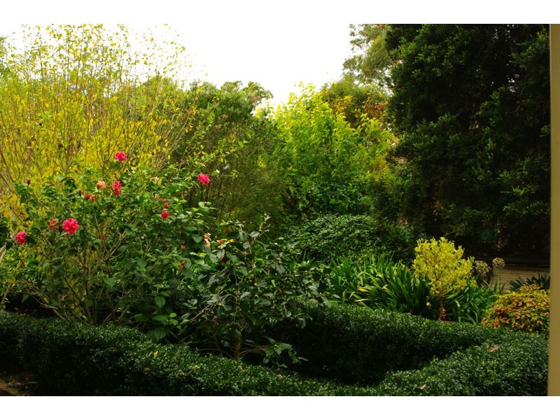 25 Elvy Street, Bargo NSW 2574