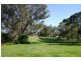 167 Werombi Road, Grasmere NSW 2570