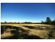 Lot 100, 13 Colonel Pye Drive, Cobbitty NSW 2570