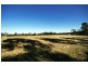 Lot 100, 13 Colonel Pye Drive, Cobbitty NSW 2570