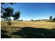 Lot 100, 13 Colonel Pye Drive, Cobbitty NSW 2570