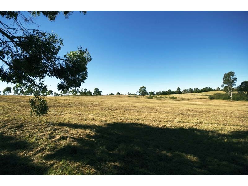 Lot 100, 13 Colonel Pye Drive, Cobbitty NSW 2570