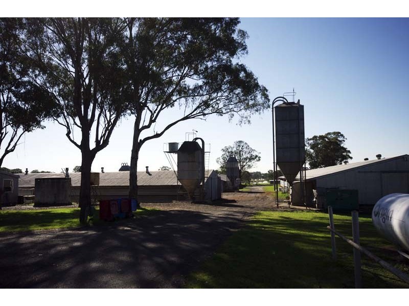113 Ridge Square, Leppington NSW 2179