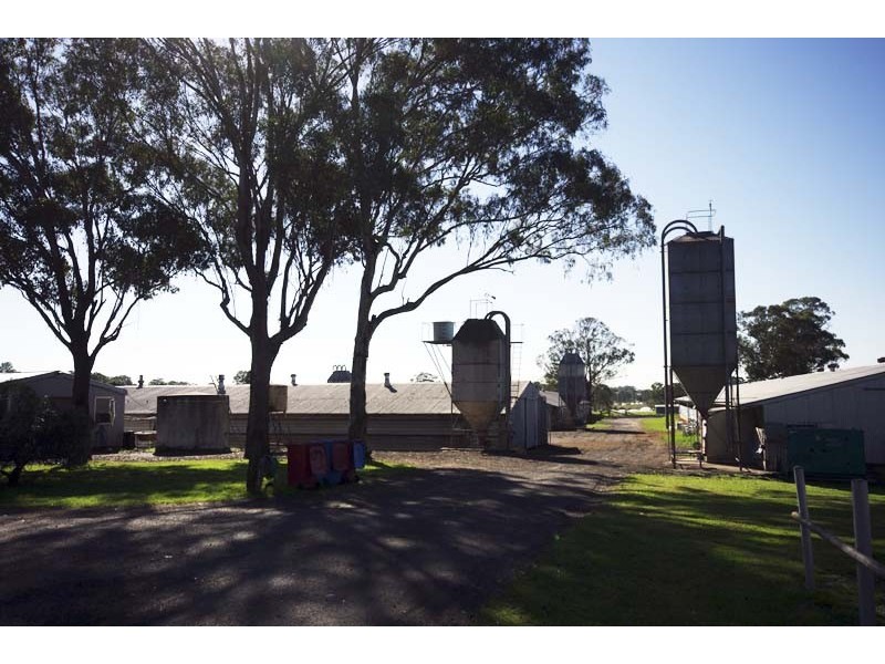 113 Ridge Square, Leppington NSW 2179
