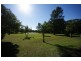 310 Steveys Forest Road, Oakdale NSW 2570