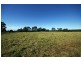 310 Steveys Forest Road, Oakdale NSW 2570