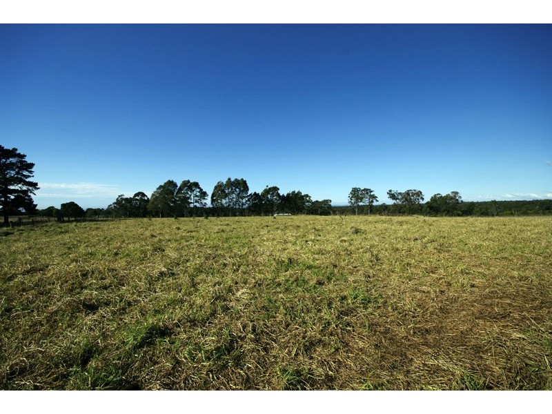 310 Steveys Forest Road, Oakdale NSW 2570