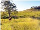 225 Spring Creek Road, Mount Hunter NSW 2570