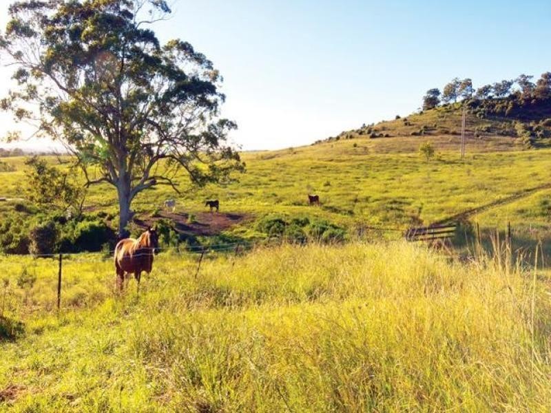 225 Spring Creek Road, Mount Hunter NSW 2570