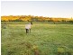 225 Spring Creek Road, Mount Hunter NSW 2570