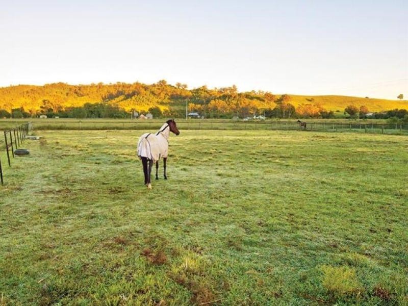 225 Spring Creek Road, Mount Hunter NSW 2570