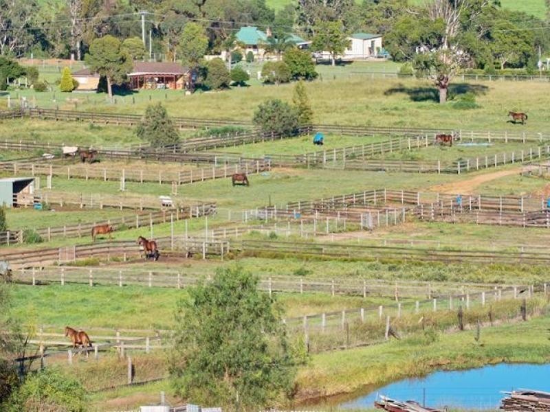 225 Spring Creek Road, Mount Hunter NSW 2570