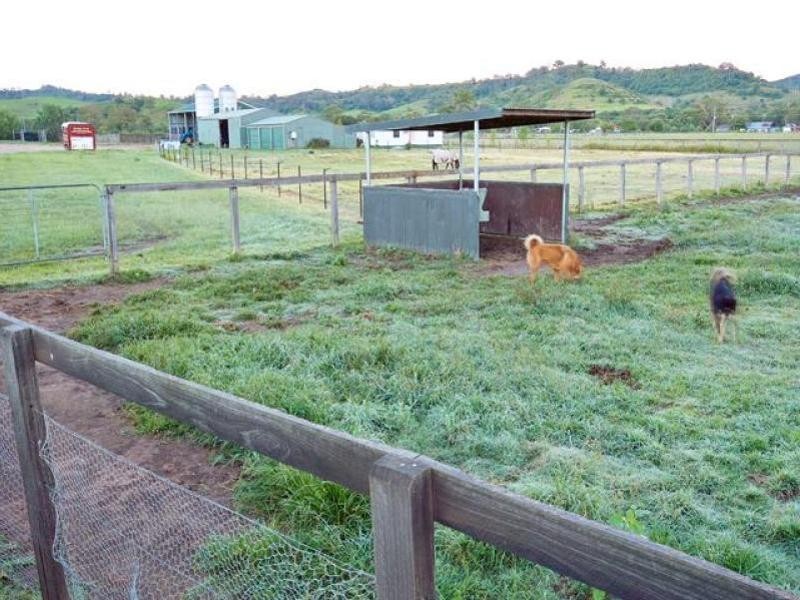 225 Spring Creek Road, Mount Hunter NSW 2570