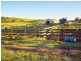 225 Spring Creek Road, Mount Hunter NSW 2570