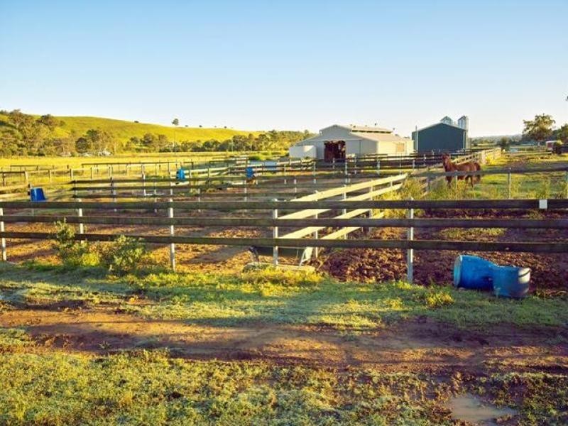 225 Spring Creek Road, Mount Hunter NSW 2570