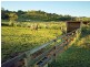 225 Spring Creek Road, Mount Hunter NSW 2570