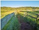 225 Spring Creek Road, Mount Hunter NSW 2570