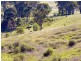 225 Spring Creek Road, Mount Hunter NSW 2570