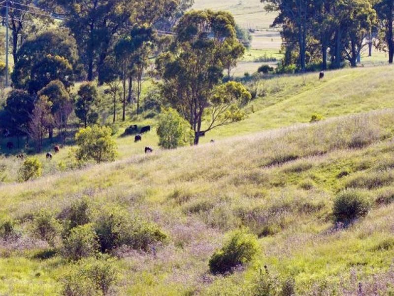 225 Spring Creek Road, Mount Hunter NSW 2570