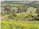 225 Spring Creek Road, Mount Hunter NSW 2570