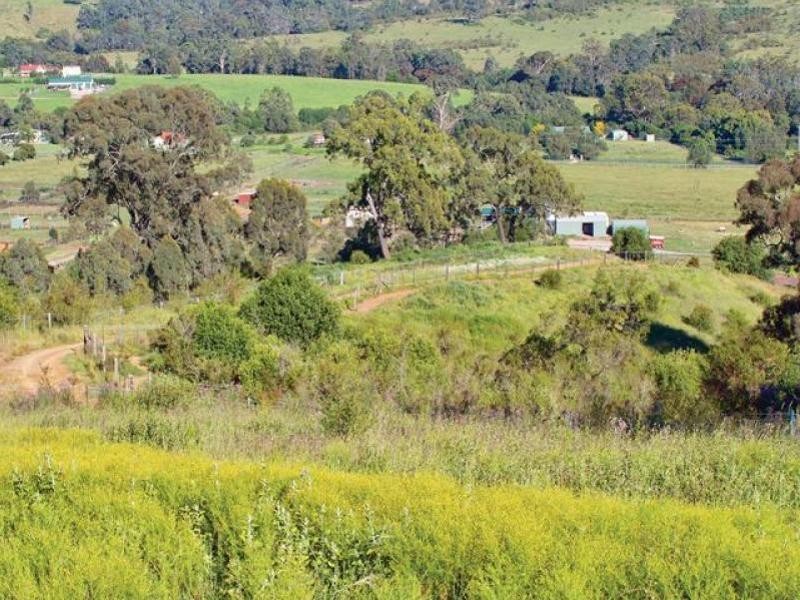 225 Spring Creek Road, Mount Hunter NSW 2570