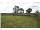 730 Barkers Lodge Road, Mowbray Park NSW 2571