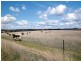 Yarra NSW 2580