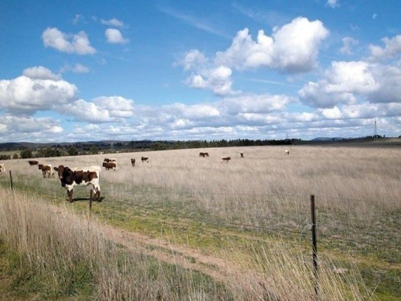 Yarra NSW 2580