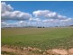 Yarra NSW 2580