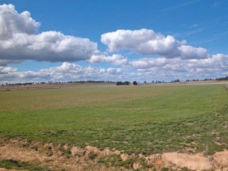 Yarra NSW 2580