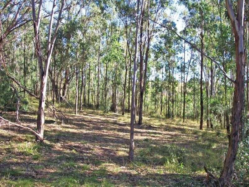 Lot 11 Remembrance Drive, Razorback NSW 2571