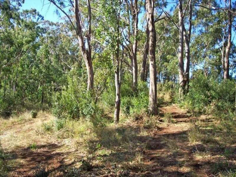 Lot 11 Remembrance Drive, Razorback NSW 2571