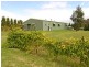 10 Ambervale Drive, Orangeville NSW 2570