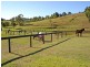 95 Carrolls Road, Menangle NSW 2568