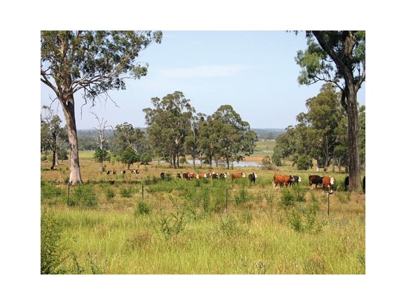 565 Old Razorback Road, Cawdor NSW 2570