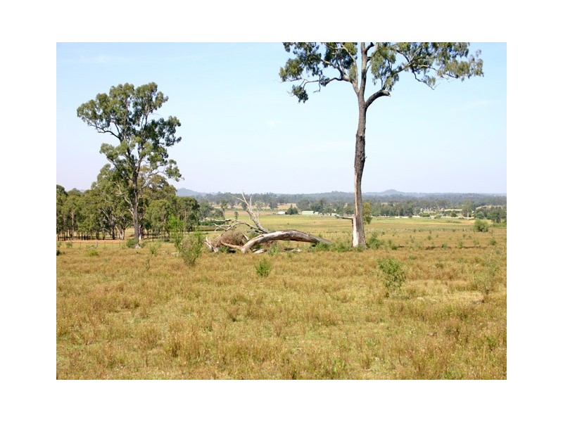 565 Old Razorback Road, Cawdor NSW 2570