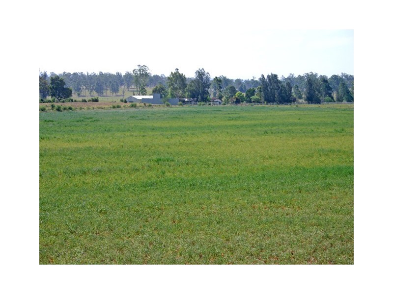 565 Old Razorback Road, Cawdor NSW 2570